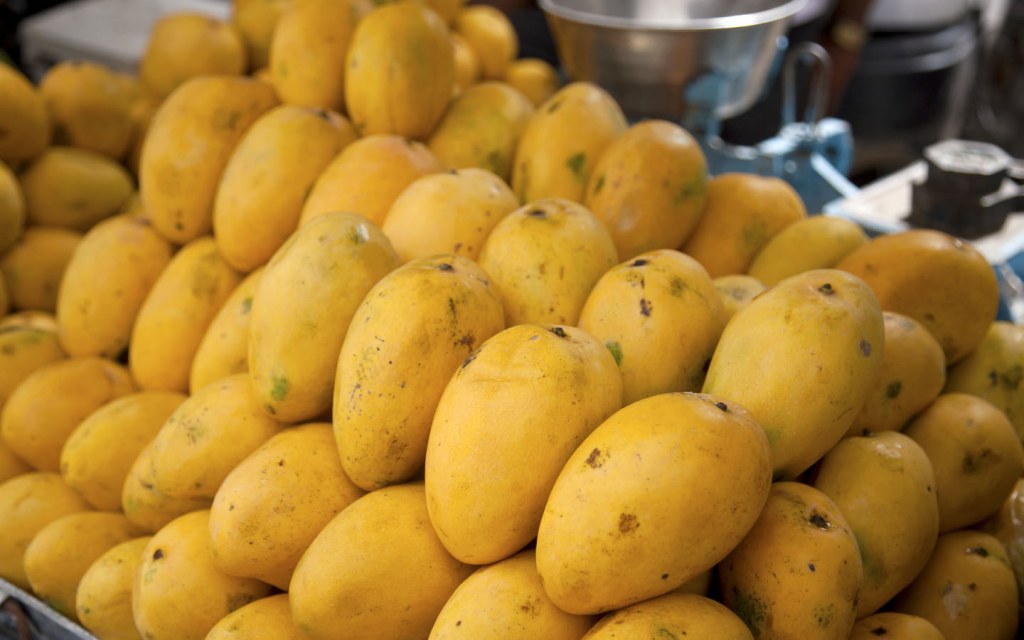 Types of Mangoes and Their Speciality | Zameen Blog