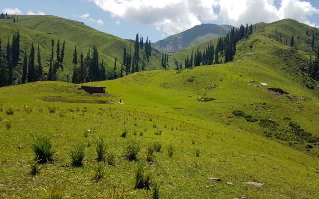 View of Siri Paye Meadows