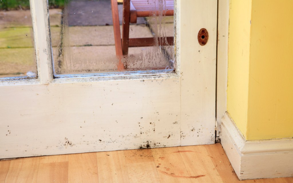 How to Spot Mould in Your Bathroom